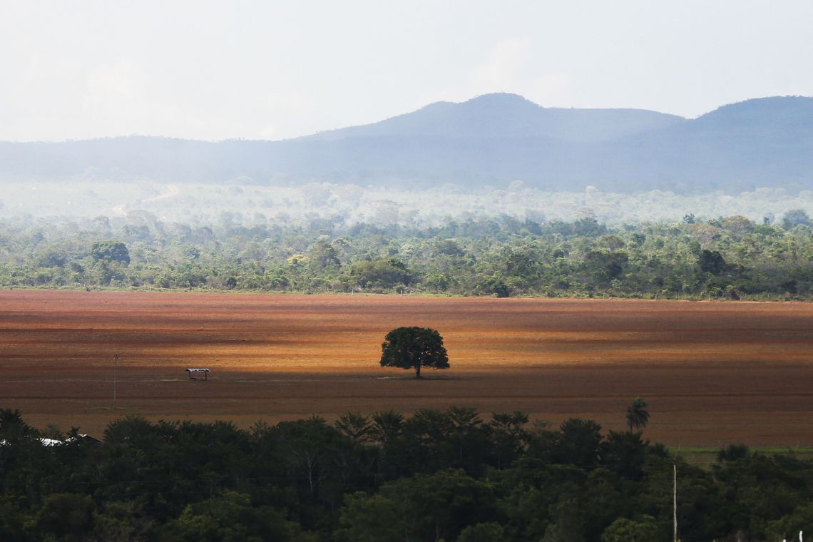  - Marcelo Camargo/Agência Brasi