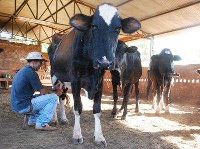 Construção de usina de pasteurização seria a solução -