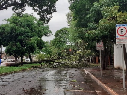 Prefeitura declara situação de emergência em Dourados após danos causados por temporal - Foto: Lílian Rech