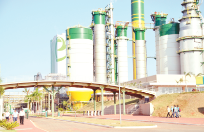 Fábrica de celulose entrou em funcionamento em 2012 -