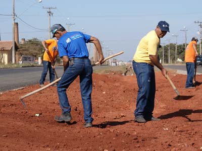 Uma equipe de seis trabalhadores iniciou o serviço na semana passada -