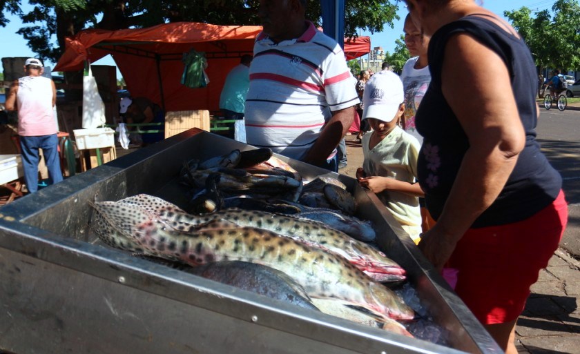 Feira do peixe será realizada entre as 6h até às 19h, no Centro. - Arquivo/JPNEWS