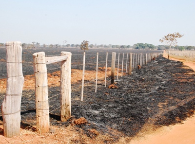 Queimadas em pastagens e em terrenos baldios são apenas registradas, mas não são ocorrências emergenciais para os Bombeiros -