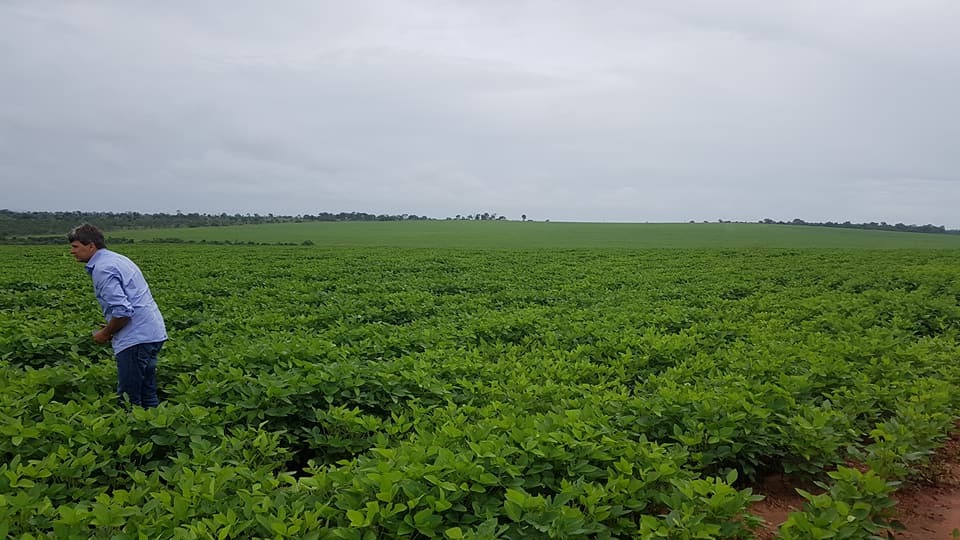 Atualmente a fazenda Boa Vista de propriedade de Heliton, cultiva 300 hectares de soja - Reprodução/Rede Social