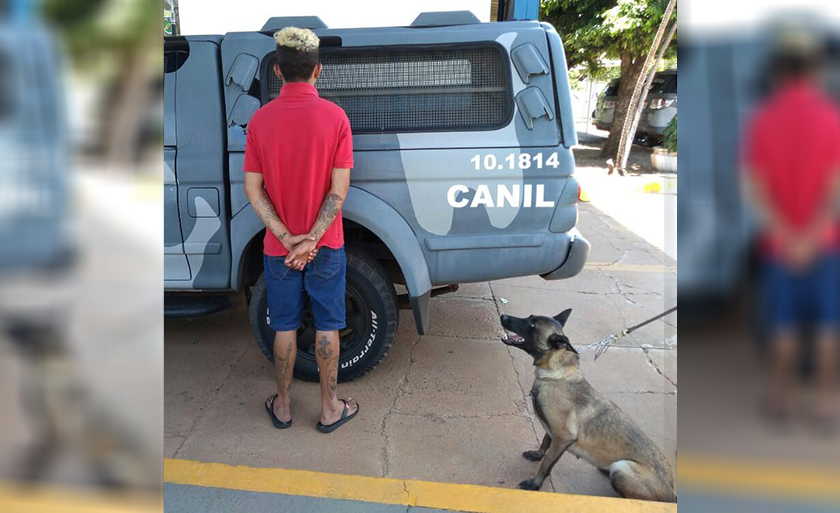 Pastora belga integra a equipe da polícia no combate aos entorpecentes em Três Lagoas - Divulgação