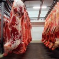 Exportações brasileiras de carne bovina registraram em julho o maior resultado mensal da história - Foto: Ilustração/ Arquivo