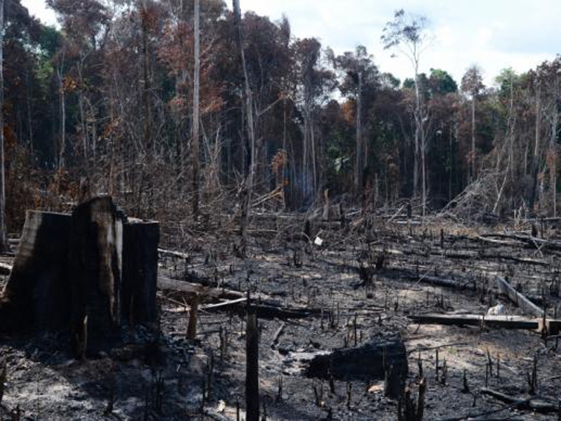 Emissão de gases de efeito estufa cresceu 7,8% no país, mostra levantamento - Arquivo/Agência Brasil
