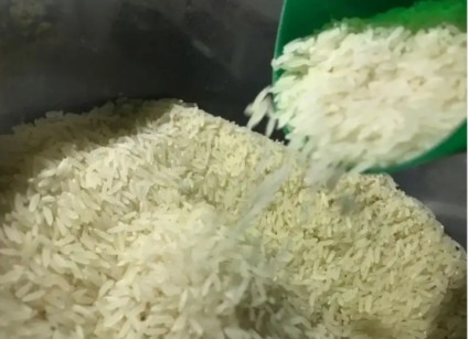 Governo deve importar 400 mil toneladas de arroz - Foto: Divulgação