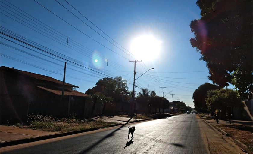 Cachorro fazendo sua caminhada matinal na rua Egídio Thomé - Danielle Leduc