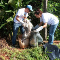 A coleta e o descarte adequados de animais mortos são fundamentais para a preservação do meio ambiente.