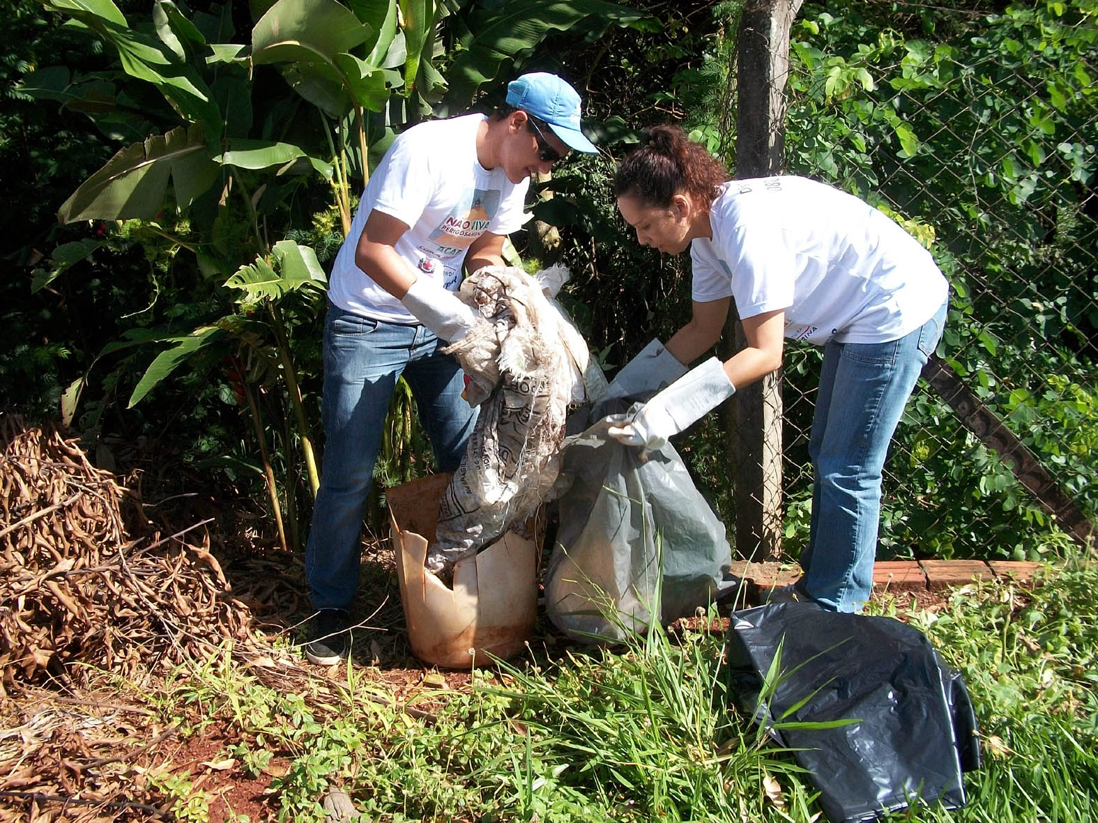 A coleta e o descarte adequados de animais mortos são fundamentais para a preservação do meio ambiente.