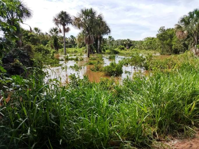 Trânsito em estrada de acesso ao Córrego do Palmito está interrompido - Divulgação/prefeitura