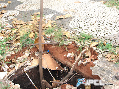 Na calçada, em frente à casa, a caixa de gordura está cheia de larvas do Aedes Aegypti -