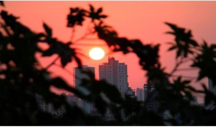  - Foto: Chico Ribeiro/Portal do MS