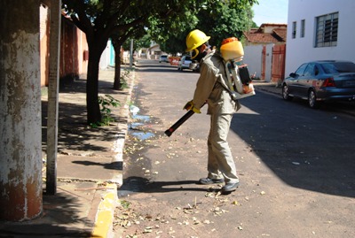 Prefeitura mantém ações de combate ao mosquito -