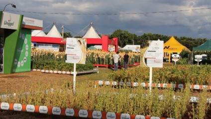 Cerca de quatro mil visitantes passaram pelo evento que movimentou R$ 7 milhões em negócios - Rádio CBN