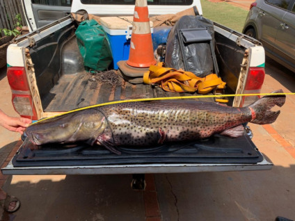 Pescadores são presos por pesca predatória no rio Ivinhema - Foto: Divulgação/PMA