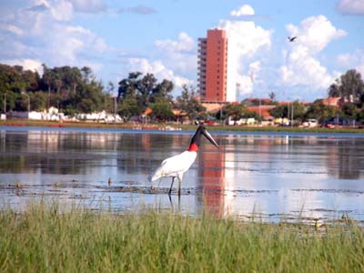 Atualmente, a área de ocupação autorizada para a região da Lagoa Maior é de 20% -