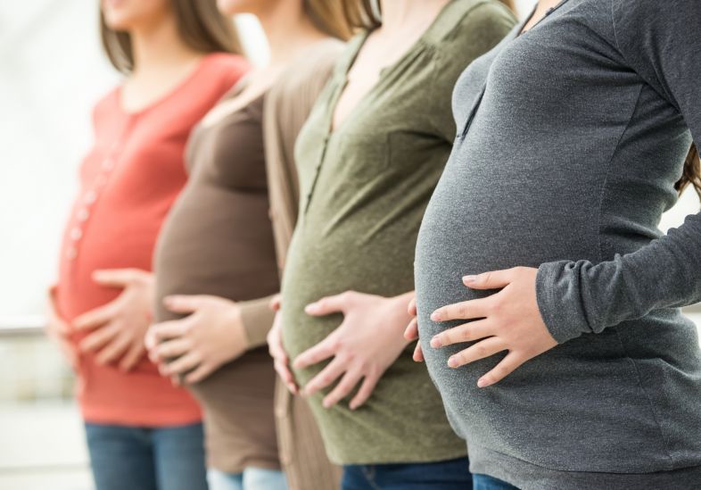 - Divulgação - Divulgação