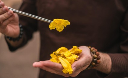 Esse pesto 100% brasileiro pode ser servido com beiju, torrada, com uma massa ou para incrementar um arroz - Arquivo Paulo Machado