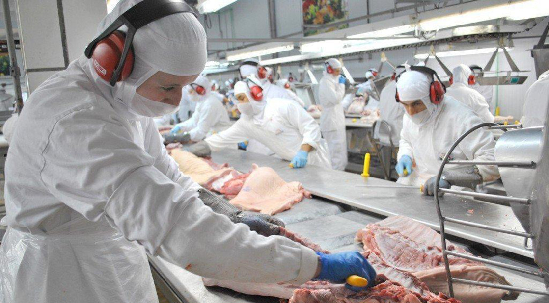 Setembro começa com 598 vagas de emprego na Funtrab - Foto: Portal MS