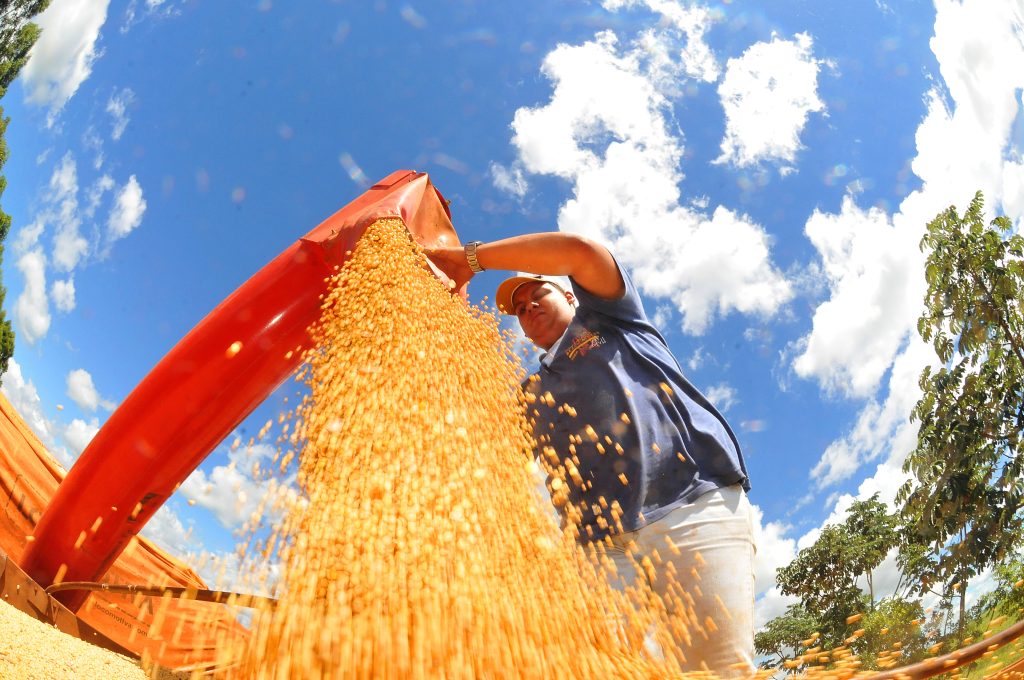 Plantio da safra de soja está adiantado em Mato Grosso do Sul - Foto: Divulgação/Governo do Estado