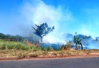 Agosto abre ciclo de estiagem com alto risco de incêndios - Arquivo/JPNews