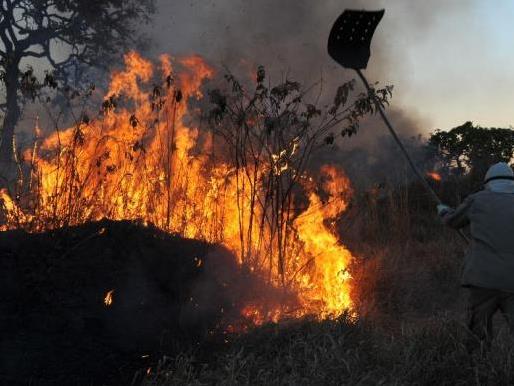 Focos de incêndio no país em outubro são mais que o dobro dos registrados no mesmo período de 2013 - Arquivo/Valter Campanato/Agência Brasil Focos de incêndio no país em outubro são mais que o dobro dos registrados no mesmo período de 2013 - Arquivo/Valter Campanato/Agência Brasil