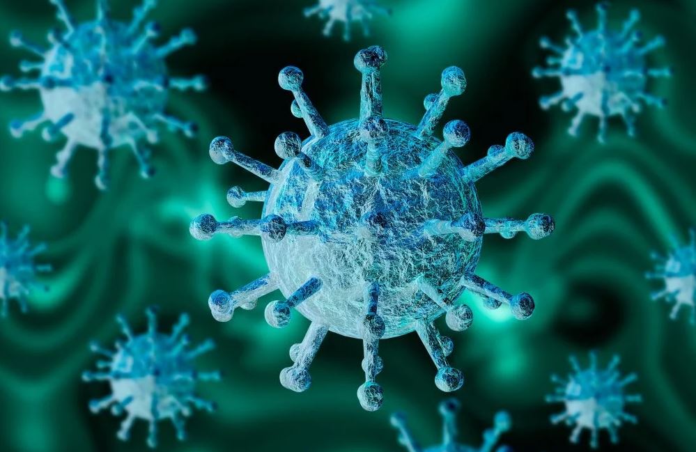 Mais de 4 milhões de pessoas já foram contaminadas no Brasil - Foto: Canaltech