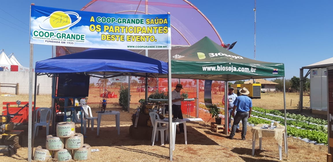 A agricultora Vera Lúcia, disse à CBN Campo Grande, que veio com a família de Nova Alvorada do Sul - Dayanne Faquetti/CBN