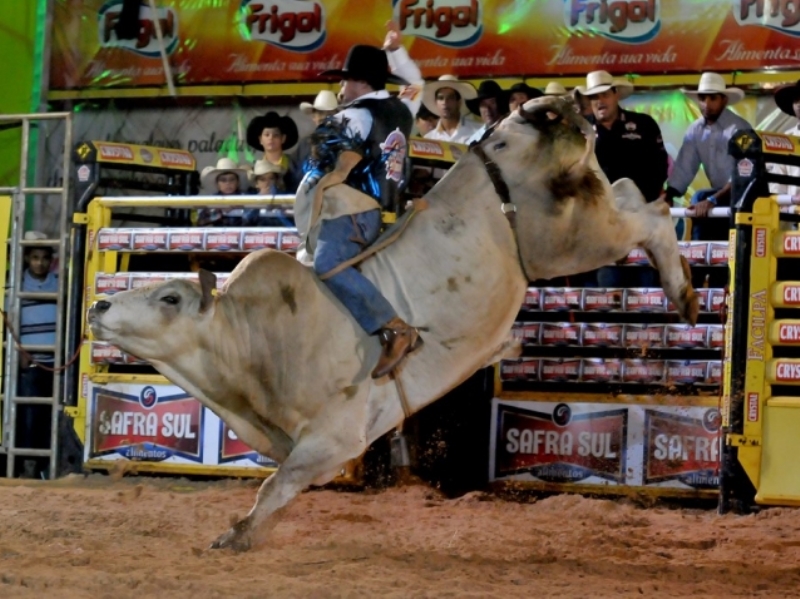 Haverá montaria em touros todas as noites, a partir das 20h - Divulgação/Top Team Cup