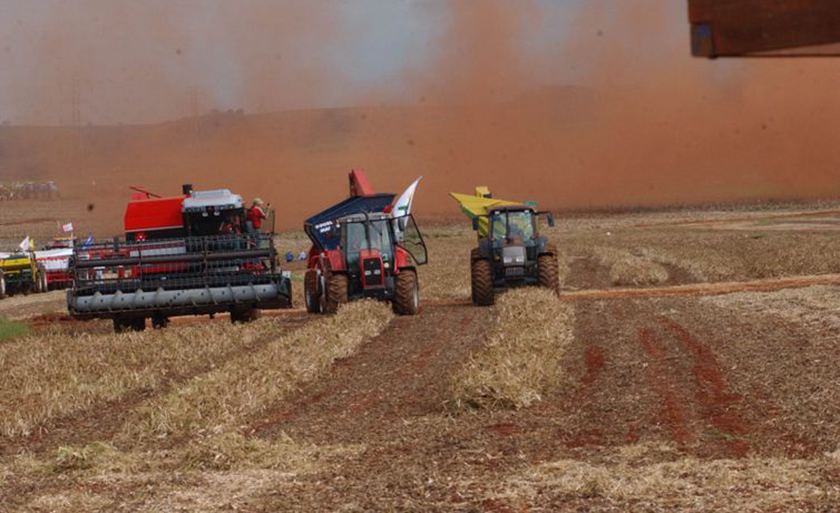 Banco do Brasil é o principal agente de financiamento da agricultura brasileira - Safra agrícola/Arquivo/Agência Brasil