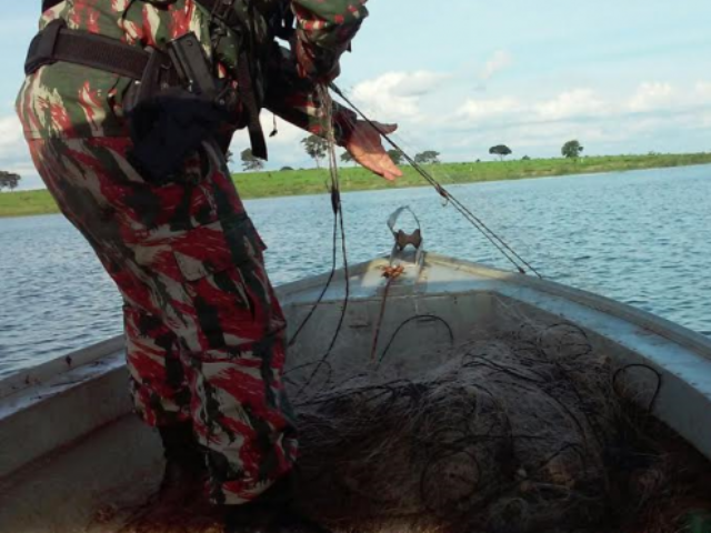 Foram soltos em torno de 10 kg de peixes vivos que estavam presos às redes - Divulgação/PMA