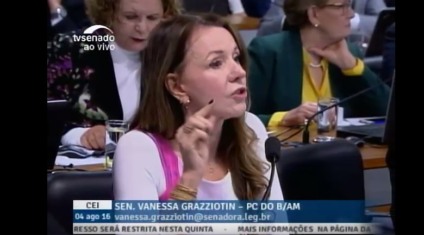 Senadora Vanessa Grazziotin fala durante reunião da comissão  - Reprodução/Internet