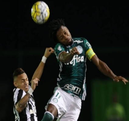 Lateral esquerdo, Zé Roberto foi novamente titular do Palmeiras - Agência Palmeiras