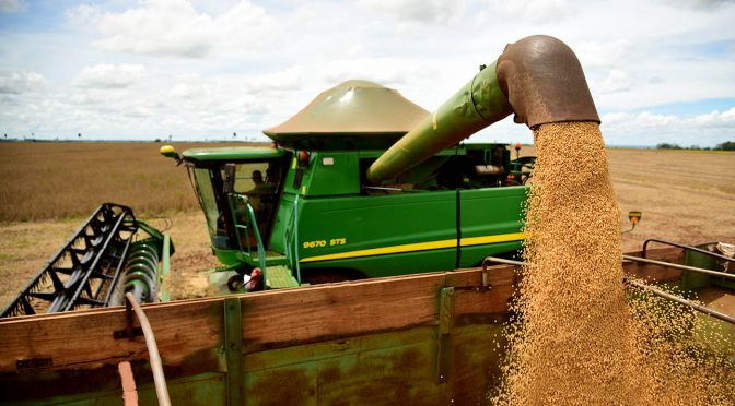 Semana passada, volume previsto era menor, de 3,931 milhões de toneladas - Foto: Semagro