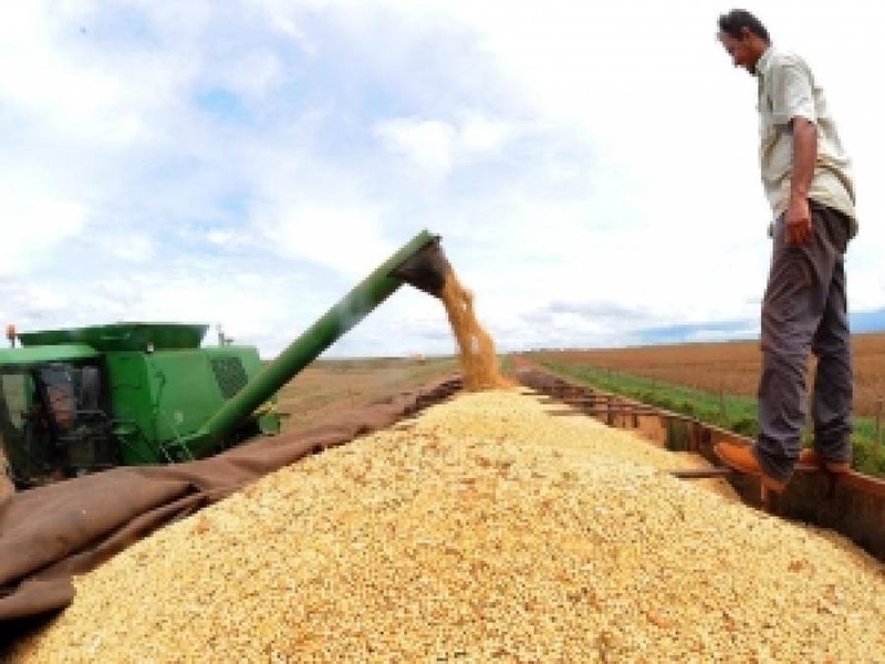 A agricultura foi o setor que teve maior retração no trimestre - Arquivo/Agência Brasil