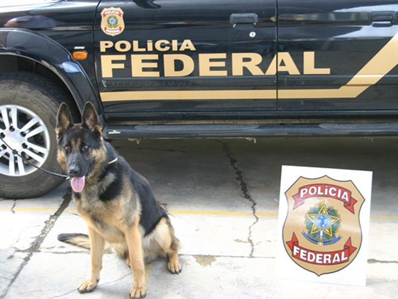 Droga que seria levada para Três Lagoas foi encontrada com apoio de um cão farejador da PF - Divulgação/Polícia Federal