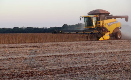 Colheita atingiu 1,95 milhão de hectares da área disponibilizada para o cultivo da oleaginosa - Divulgação/Semagro