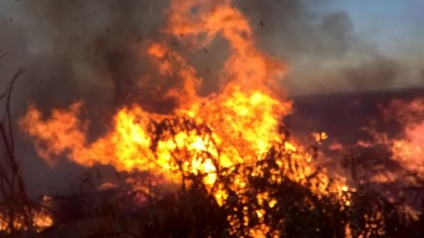Incêndio atinge lixão em bairro da zona Leste de Três Lagoas - Divulgação/Bombeiros Incêndio atinge lixão em bairro da zona Leste de Três Lagoas - Divulgação/Bombeiros