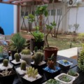 Maior evento científico de Mato Grosso do Sul é uma oportunidade para pequenos produtores, artesãos e empreendedores exibirem e comercializarem seus produtos