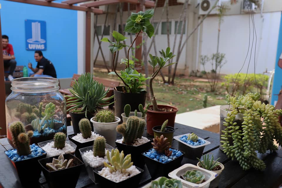 Maior evento científico de Mato Grosso do Sul é uma oportunidade para pequenos produtores, artesãos e empreendedores exibirem e comercializarem seus produtos