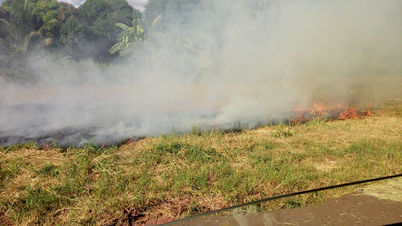 Queimada em terreno em frente ao parque Espelho D'Água - Roberto Chamorro