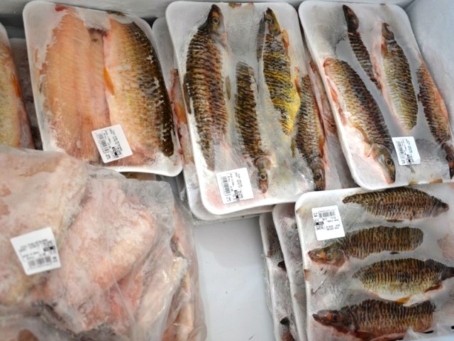 O consumidor pretende gastar, em média, R$ 67,80 com a compra de pescado - Arquivo/JP