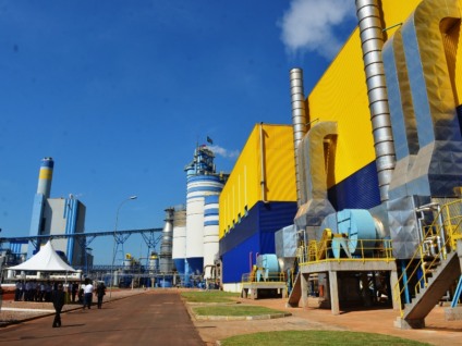 Empresas de celulose negociam com compradores norte-americanos - Arquivo/JPNews