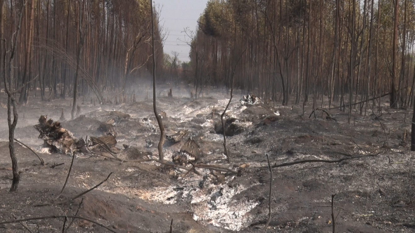Incêndios às margens da rodovia BR-158 continuam - Vinicius Leal/JPNews Incêndios às margens da rodovia BR-158 continuam - Vinicius Leal/JPNews