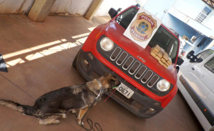 Após um ano apreendido, polícia encontra mais droga em carro do filho de desembargadora