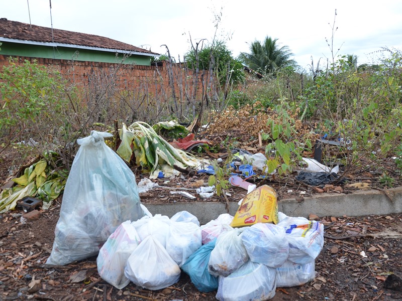 Terreno situado na rua João Silva exemplifica situação de muitos lotes abandonados pela cidade - Cláudio Pereira/JP