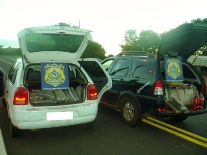 Dois veículos apreendidos pela PRF em MS estavam transportando quase 800 quilos de maconha -