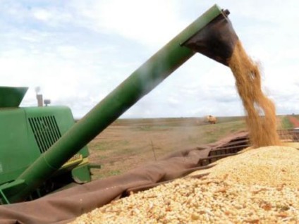 Entidade prevê crescimento de 1,5% da área destinada ao plantio e produção 4% superior à safra anterior - Agência Brasil